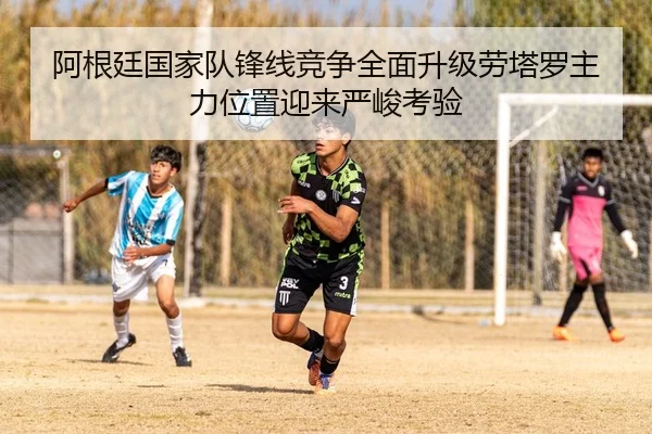 阿根廷国家队锋线竞争全面升级劳塔罗主力位置迎来严峻考验